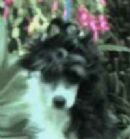 Click to view more details