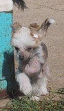 Click to view more details