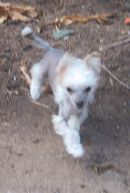 Click to view more details