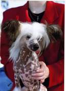 Click to view more details