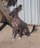 Click to view more details