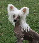 Click to view more details