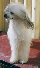 Click to view more details